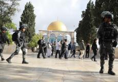 مستوطنون يقتحمون الأقصى - أرشيفية