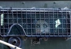 الاسيرات الفلسطينية