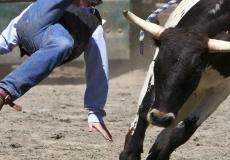 ثور هائج.. تعبيرية