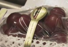 اغلى عنب في العالم