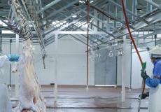 مواعيد العمل في مسالخ أبوظبي خلال عيد الأضحى 2022