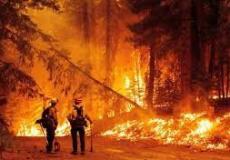 حرائق الغابات في فرنسا تلتهم 200 هكتار