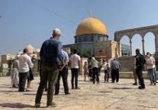 مفتي القدس يدين اقتحام أحد المستوطنين مسجداً في القدس