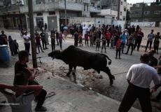 أجواء أول أيام العيد وذبح الأضاحي في قطاع غزة