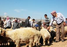 الأضاحي في فلسطين