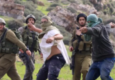 هجوم المستوطنون على المزارعين ورعاة الأغنام- توضيحية