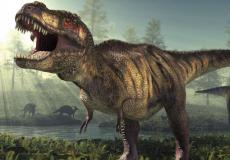 هيكل عظمي لديناصور معروض للمزاد بالملايين!