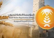 صرف 57 مليون ريال مستحقات الدفعة الـ 11 لمزارعي القمح المحلي في السعودية