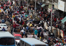 ربع مليون مولود في 50 يوم بمصر