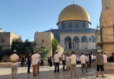 عشرات المستوطنين يقتحمون المسجد الأقصى