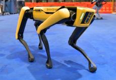 الكلب الروبوت