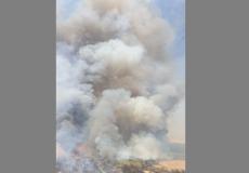 حريق كبير في محمية طبيعية في منطقة نهر الاردن