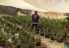 ضبط كميات من المخدرات - أرشيفية