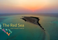 رابط التسجيل في برنامج البحر الأحمر للتدريب المهني