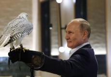 صقر يحط على ذراع بوتين