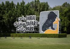 " دبي سفاري بارك 2022 " ينطلق في موسمه الجديد يوم غدًا الثلاثاء