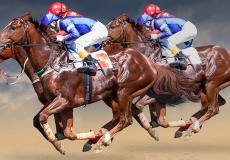 دبي لسباق الخيل يعلن بدء بيع تذاكر الموسم  2023/2022 في مضمار ميدان