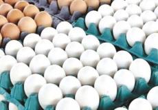 حظر تصدير البيض في الكويت - توضيحية