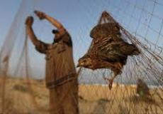 الحياة الفطرية توضح 11 مخالفة لصيد الكائنات البرية