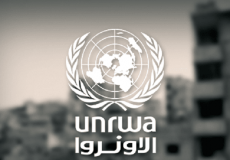 الأونروا - ارشيف