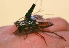 حشرة آلية تعمل كروبوت