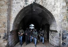 عرين الأسود - توضيحية