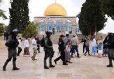 الخارجية تدين الانتهاكات الإسرائيلية التي يتعرض لها الشعب الفلسطيني