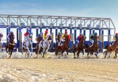 موعد سباقات الخيول 2023/2022 في الامارات