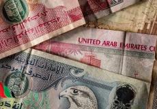 سعر الدرهم الإماراتي مقابل الدولار والجنيه المصري اليوم الأحد