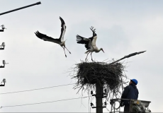 أحياء في كييف محرومة من الكهرباء والمياه.png