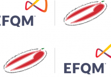 انطلاق الدورة الأولى من جائزة حمدان التعليمية العالمية EFQM