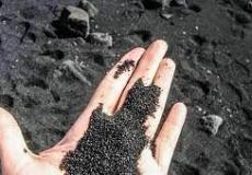 ما هي الرمال السوداء في مصر – مشروع الرمال السوداء بكفر الشيخ