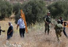 الاحتلال يعرقل وصول قاطفي ثمار الزيتون إلى أراضيهم في سلفيت
