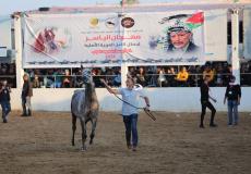 عرض لجمال الخيول العربية الأصيلة في غزة (حاتم الرواغ. سوا)