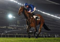 منافسات سباق الخيل على مضمار ميدان في دبي