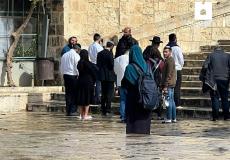 مستوطنون يقتحمون باحات المسجد الأقصى المبارك