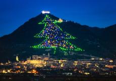 شجرة الكريسماس في مدينة جوبيو