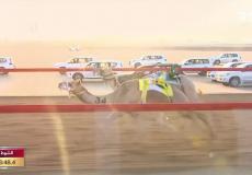 قناة ياس بث مباشر – سباق الهجن