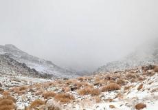 الثلوج في الكويت