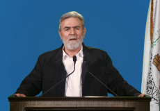 زياد النخالة