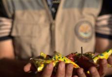 "المباحث العامة" تضبط كمية من المفرقعات شمال غزة