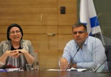 ستروك وسوفير خلال اجتماع لجنة الخارجية والأمن في الكنيست، العام الماضي