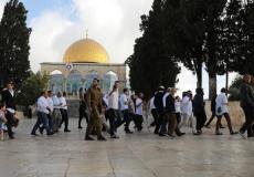 مستوطنون يقتحمون المسجد الأقصى
