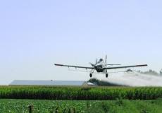 رش مبيدات سامة