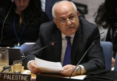 مندوب فلسطين رياض منصور