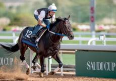 كأس السعودية للفروسية 2023