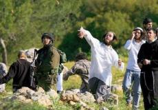 مستوطن يعتدي على الفلسطينيين - أرشيفية