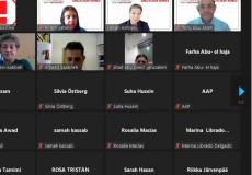 جانب من الندوة عبر الإنترنت