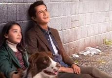 مسلسل أميرة بلا تاج الحلقة 6 مترجم