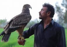 مسلسل ضرب نار الحلقة 20 عشرين